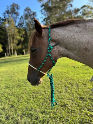 Cowboy Halters with Lariat Noseband - Aqua & Brown